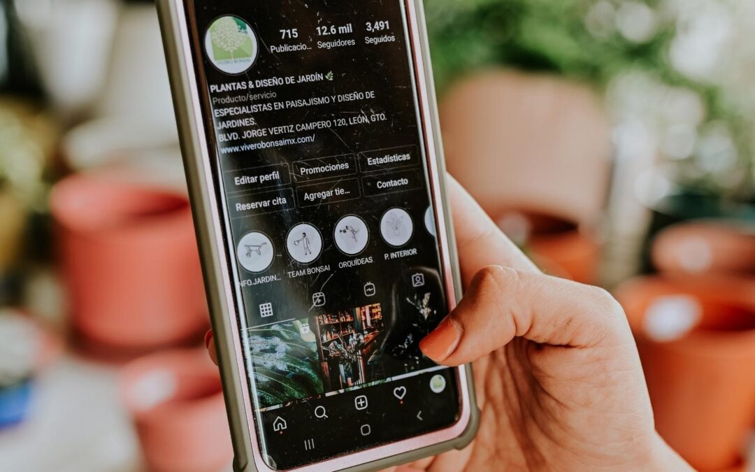 DE CE SA FOLOSESTI INSTAGRAM STORIES PENTRU AFACEREA TA?